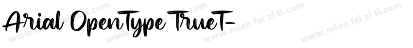 Arial OpenType TrueT字体转换